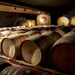 podere montale cantina