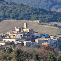 Rosier limoux