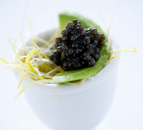 tagliatelle